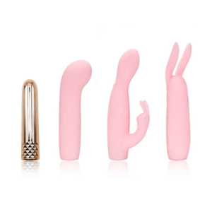 Kit LUXURY BUNNY Recargable - 4 Vibradores en 1