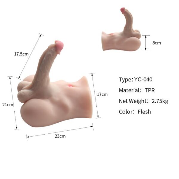 Modulo Pene Realista Articulado - Image 3
